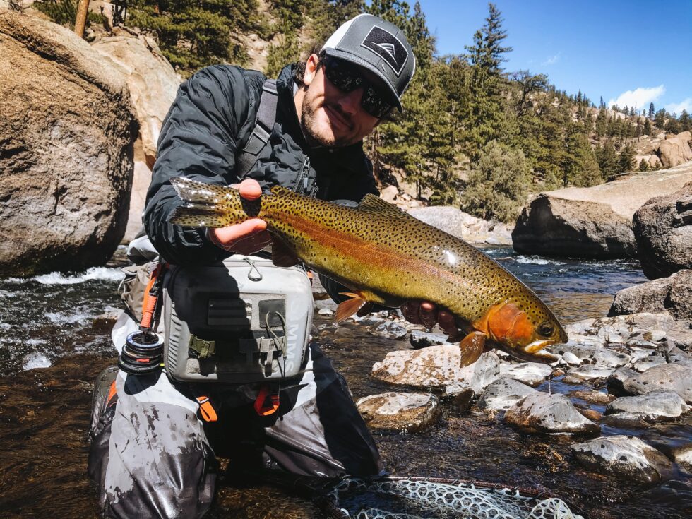 cheesman canyon fishing report