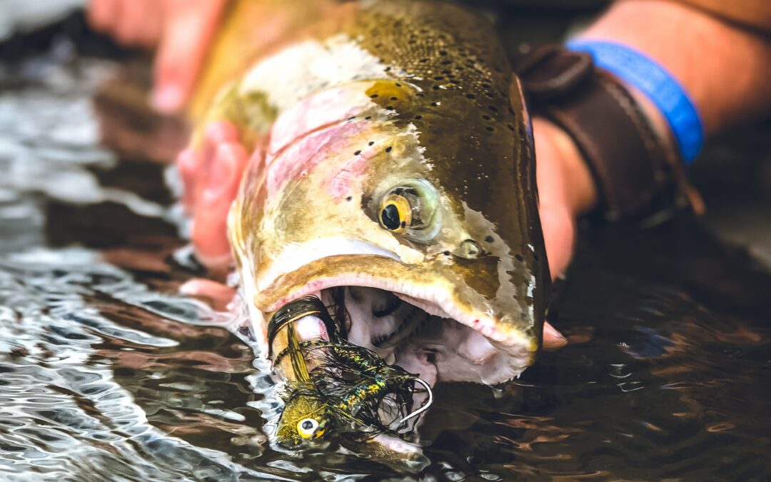 Gear Archives  Jack Shirk Fly Fishing