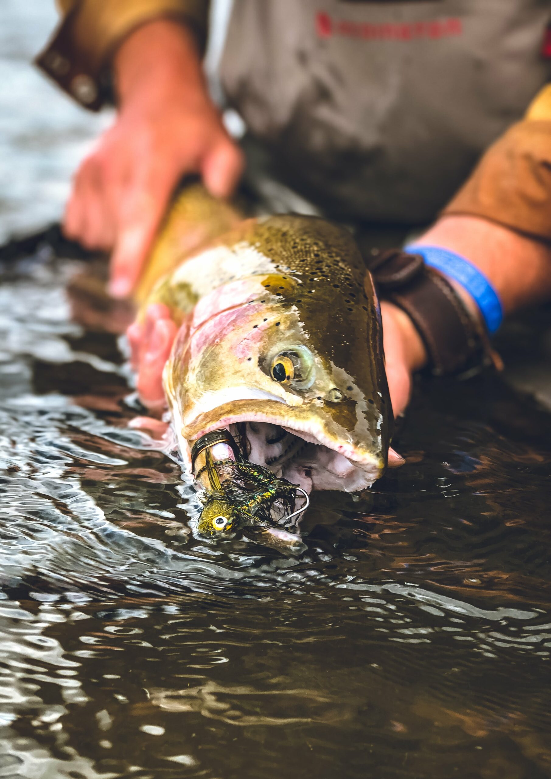 Fly Fishing Tippets - Take Me Fishing