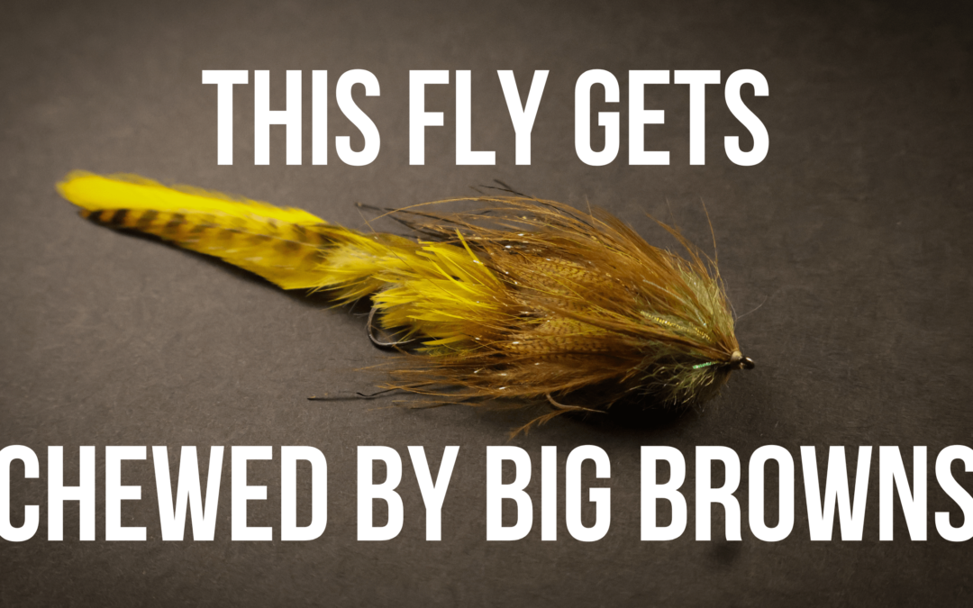 Tying Shirk’s Jack Knife Streamer