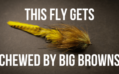 Tying Shirk’s Jack Knife Streamer